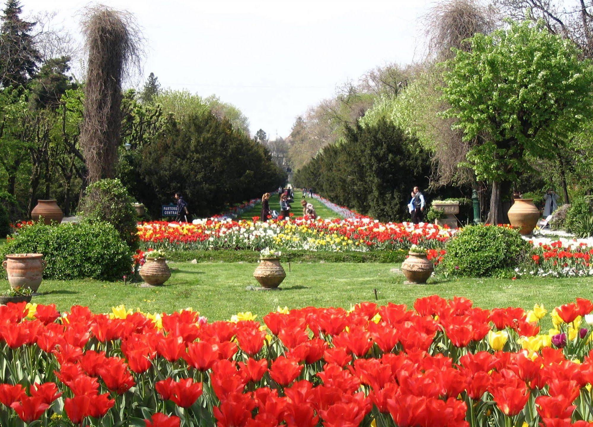 Central Park View Apartments Бухарест Экстерьер фото
